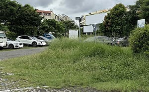 公務員回「鬼月不能除草」！彰化縣議員PO文引熱議 網：除草機怕鬼嗎？