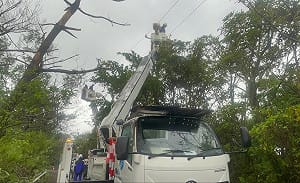 「沙德爾」重創日本沖繩與奄美  最多近4萬戶停電