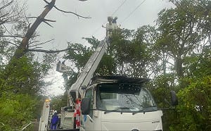 「沙德爾」重創日本沖繩與奄美  最多近4萬戶停電