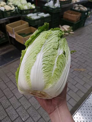中國甲醛蔬菜掀「產地焦慮」！菜販揭夏季市場實況：看到進口先別慌
