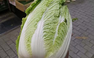 中國甲醛蔬菜掀「產地焦慮」！菜販揭夏季市場實況：看到進口先別慌