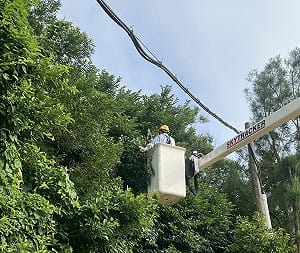 備戰沙德爾颱風！台電動員逾7千人、超前部署馬祖與山區防颱