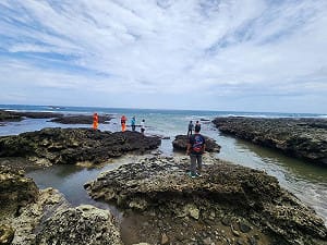 颱風外圍環流掀巨浪！蘭嶼電廠廠長釣魚失聯3日  今早尋獲遺體