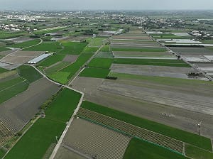 彰化藍營連續劇又爆新劇情！吳音寧盯王惠美「反常動作」：猛推二林精機為哪樁？