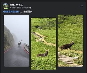 分享水鹿漫步合歡山AI照惹議　南投分署致歉：未刻意造假