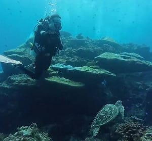 綠島知名潛點「黑毛礁」斷裂　研判25日4級地震造成