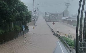 國際