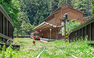5折車票、1500元住宿券任選！Taiwan PASS雙省方案9/1限量開搶
