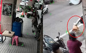中壢機車行虐狗畫面瘋傳！飼主辯：小孩不懂事 動保處出手了