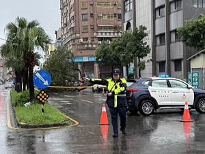 高雄連日降雨　前鎮區路樹倒塌壓2車無人傷