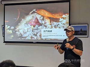 金門潮間帶環境變化受關注　盼公部門長期生態監測
