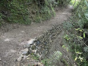 循步道入山林　八通關越道等4條路線體驗部落故事