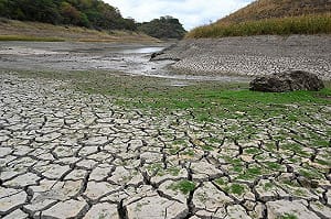 斯里蘭卡遇世紀乾旱! 水井乾涸農民陷生存危機 專家:今年恐成「超強聖嬰年」