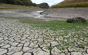 斯里蘭卡遇世紀乾旱! 水井乾涸農民陷生存危機 專家:今年恐成「超強聖嬰年」