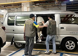 高雄建商欠稅遭聲請管收　前負責人法庭籌款分期
