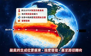 入秋將出現「非常強」聖嬰事件！專家：秋颱不一定變多但強度更強