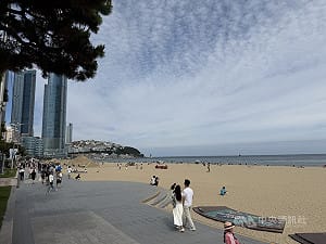 台灣人愛釜山  外國觀光客占比最高、航班大增