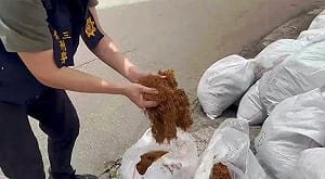 桃園機械公司掩護製造大量私菸！假冒「七星」市值524萬 主嫌送辦