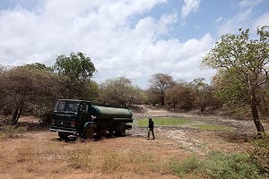 史上最強聖嬰現象! 世紀乾旱來襲 斯里蘭卡國家公園封園 動物靠水車維生