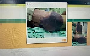 社會