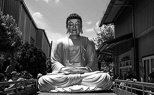 快去拍！金馬最強片《大佛普拉斯》取景地散布中南台