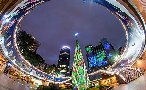 這裡看最讚！耶誕城3D光雕5大觀賞點在這