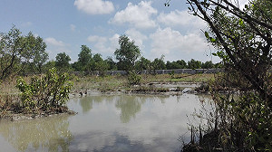 安置羅興亞難民  孟加拉2.8億美元開發海盜島
