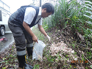 流浪狗悲歌  300隻狗遭食用後丟棄路旁