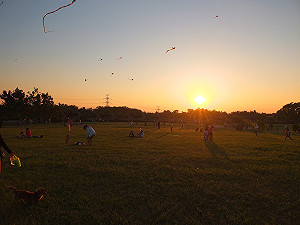 公設保留地50餘年未開闢 中市470公頃地將更有效利用