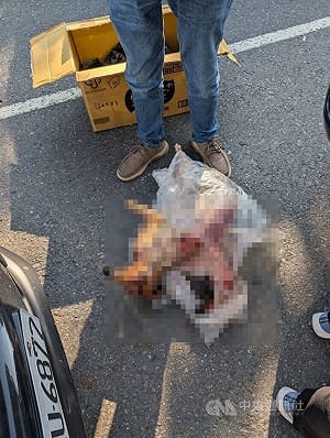 越籍男臉書販售屠宰台灣長鬃山羊 面交遭逮起訴