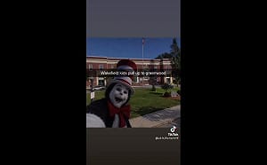美國社群媒體充斥惡作劇威脅！ 加州警方籲民眾關注「戴帽子的貓」挑戰