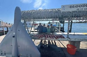 有人丟了無人機嗎? 請聯繫! 美仿製無人機近「整叢好好」被漁船「釣」起