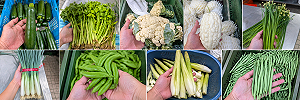 菜價開始跌了！菜販列「百元俱樂部」：沒點名的眼睛閉閉買