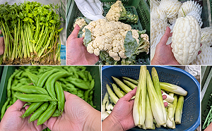 菜價開始跌了！菜販列「百元俱樂部」：沒點名的眼睛閉閉買