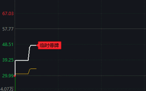 中「神股」掛牌2天市值狂飆1200%！「沈鼓」不到一週跌停監管急出手