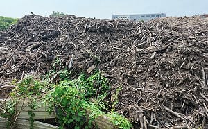 高市府稱「永安廢材山」烏龍爆料　柯志恩：事實俱在，何來烏龍？ 