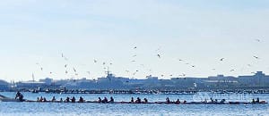 平日國旅補助優惠　澎湖首波額度使用破8成達標