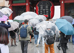東京市區連下34天雨創百年來紀錄！ 日照不足恐衝擊日本賞楓期
