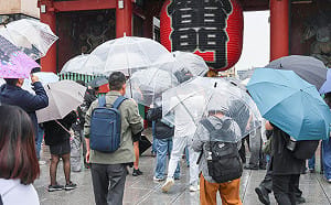 東京市區連下34天雨創百年來紀錄！ 日照不足恐衝擊日本賞楓期