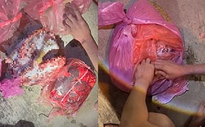 中秋節不肖業者公然賣狗肉！動保團體面交驚見殘肢 警介入調查