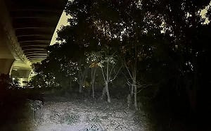 台74大塞車男子突離車墜橋身亡！母親目睹驚悚過程失聲痛哭