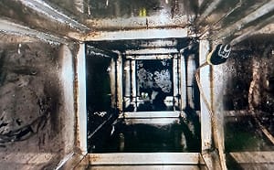 金屬套索變身「救命神索」！黑白幼貓困2.7米廟柱2天   瑞芳動物之家成功救出
