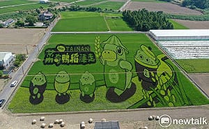 呆萌菜奇鴨躍上後壁稻田  台南好米季搶先暖身  10/9相約菁寮「稻陣走」