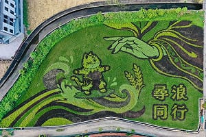 來去看「貓裏喵」稻田衝浪！苑裡稻浪生活節10/17登場