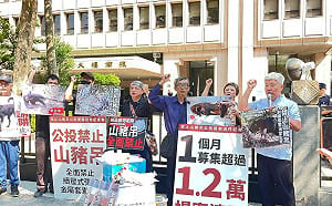 募1.2萬份提案書！動保團體再提「禁山豬吊」公投 籲中選會依法受理勿再阻擋