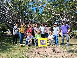 連總統手植樹也不放過？北市府說明「李登輝樹」消失原因