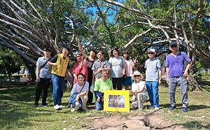 連總統手植樹也不放過？北市府說明「李登輝樹」消失原因