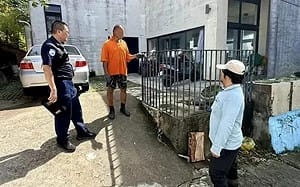 屏東路邊驚見宰殺梅花鹿！男子辯路邊車撞死才撿回 墾管處要查了