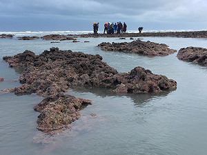 中油第三天然氣站環評再挫 6月動工不樂觀