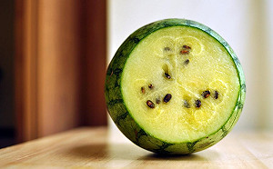 種瓜有學問！屏東12/19揭曉冠軍西瓜得主